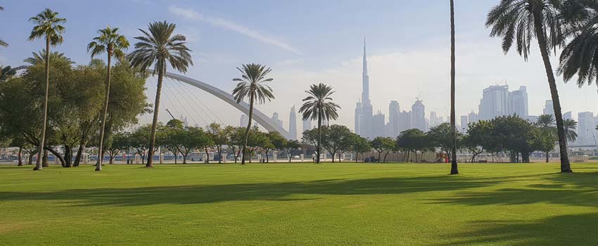 Dubai to Construct 30 New Parks within the Coming Year